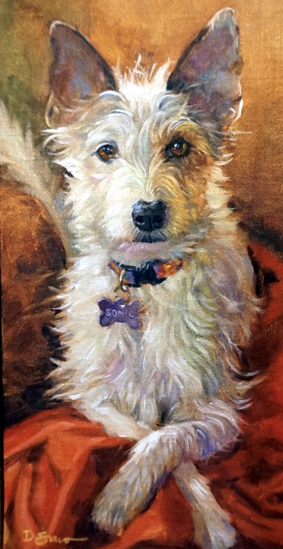 D. Salvo. 20th century