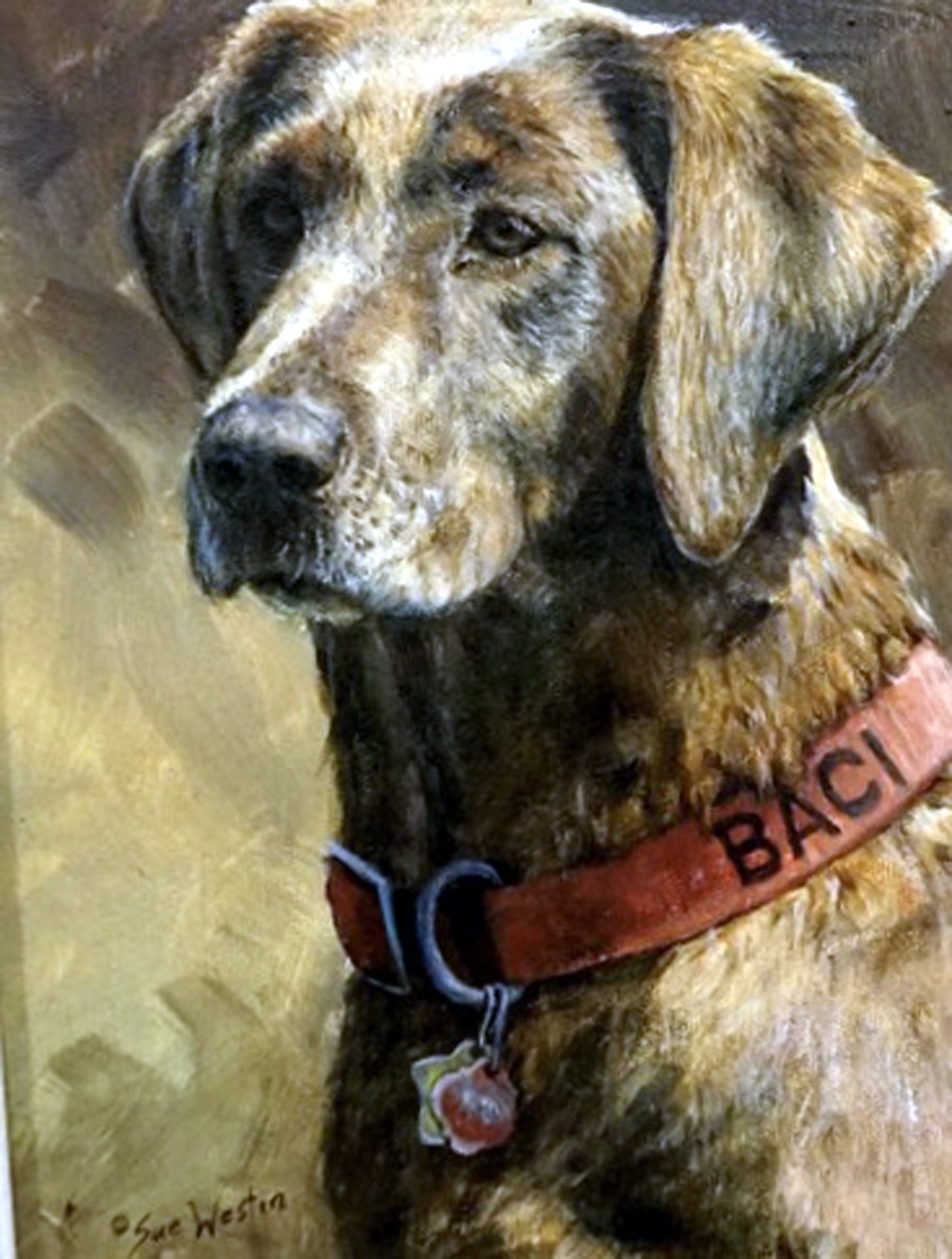 Sue Westin 20th century