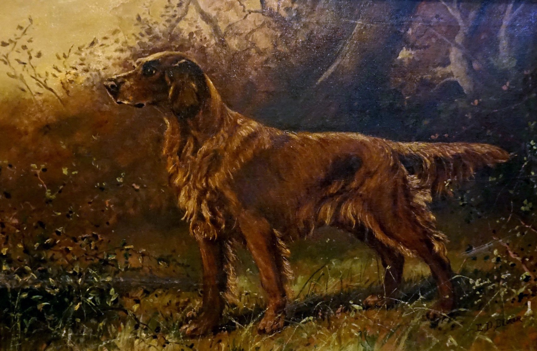 E. D. Blair. 20th century