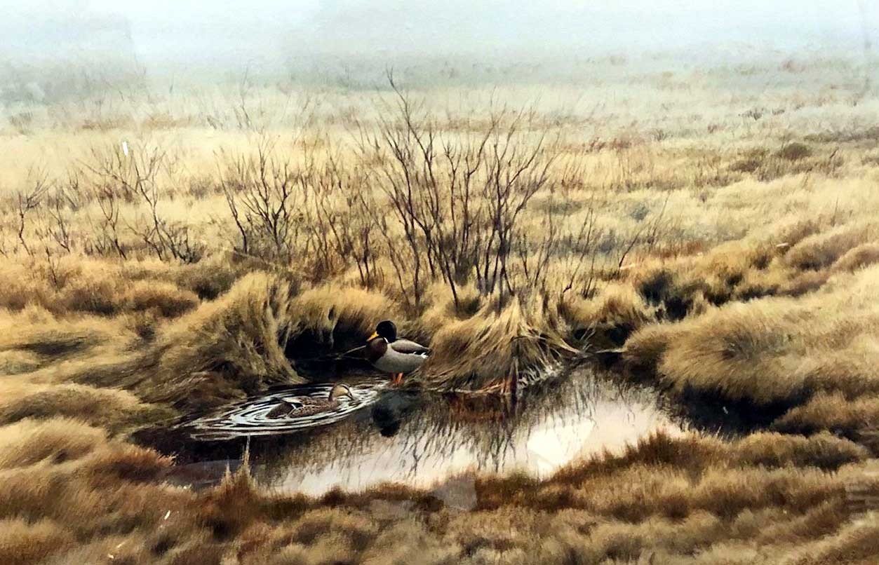 Robert Clem. 1933-2010